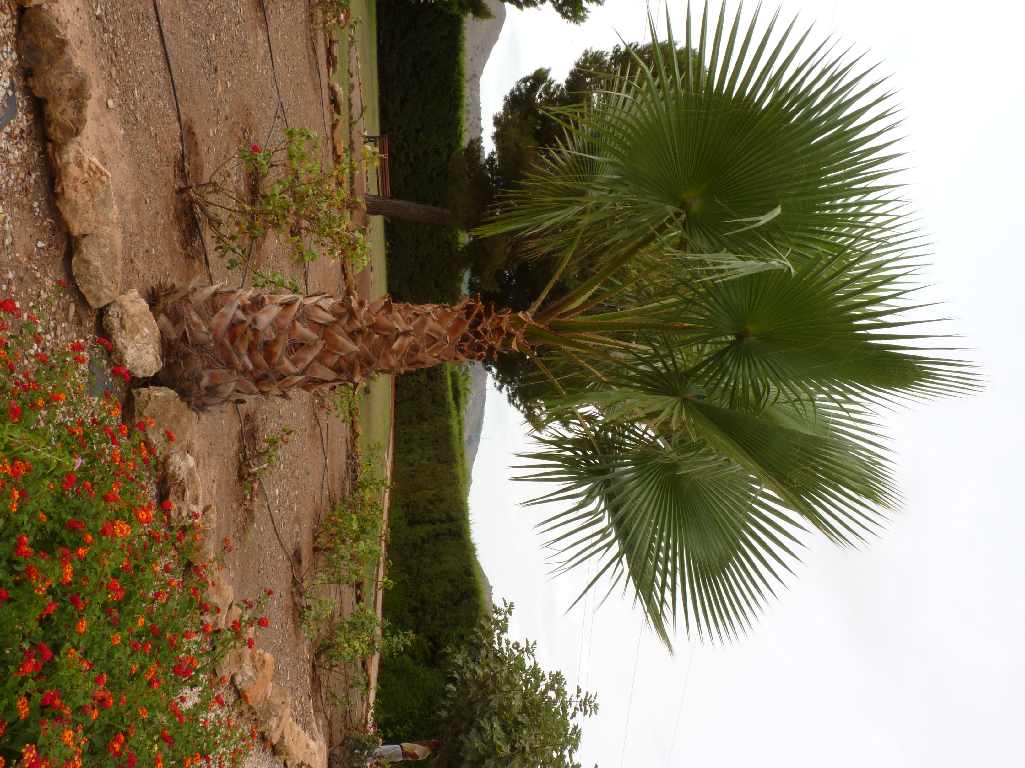 No s'ha trobat l'arxiu